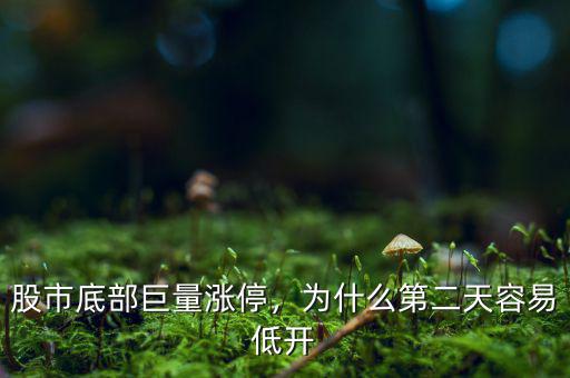 股市底部巨量漲停，為什么第二天容易低開