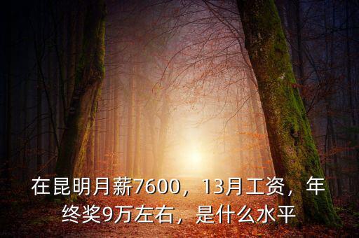 在昆明月薪7600，13月工資，年終獎(jiǎng)9萬左右，是什么水平