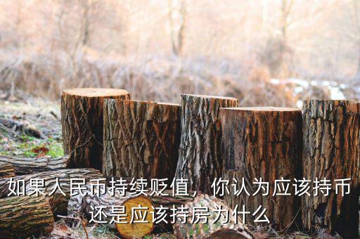 如果人民幣持續(xù)貶值，你認(rèn)為應(yīng)該持幣還是應(yīng)該持房為什么