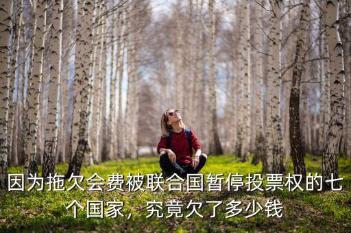因為拖欠會費被聯(lián)合國暫停投票權的七個國家，究竟欠了多少錢