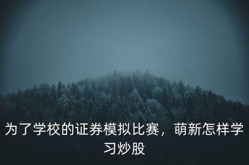 為了學(xué)校的證券模擬比賽，萌新怎樣學(xué)習(xí)炒股
