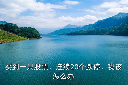 買到一只股票，連續(xù)20個(gè)跌停，我該怎么辦