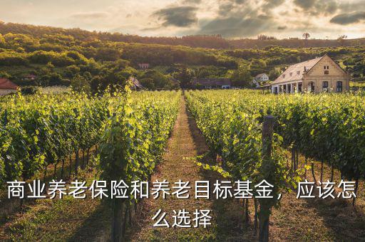 商業(yè)養(yǎng)老保險(xiǎn)和養(yǎng)老目標(biāo)基金，應(yīng)該怎么選擇