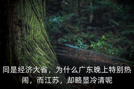 同是經(jīng)濟(jì)大省，為什么廣東晚上特別熱鬧，而江蘇，卻略顯冷清呢