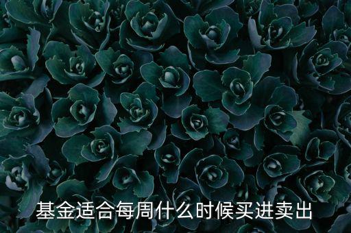 基金適合每周什么時(shí)候買(mǎi)進(jìn)賣(mài)出