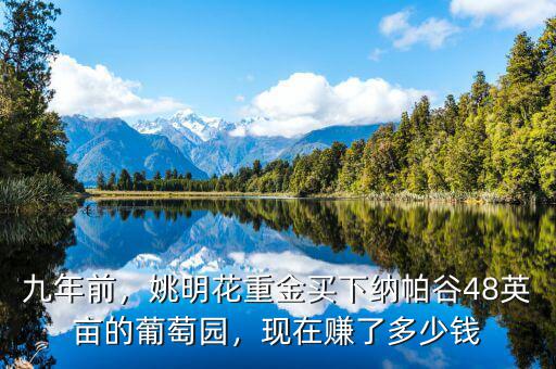 九年前，姚明花重金買下納帕谷48英畝的葡萄園，現(xiàn)在賺了多少錢