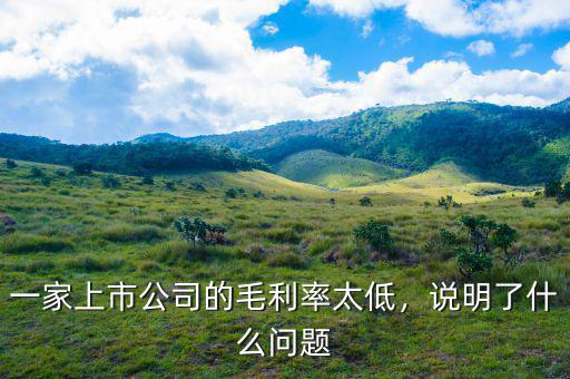 一家上市公司的毛利率太低，說明了什么問題