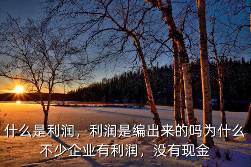 什么是利潤，利潤是編出來的嗎為什么不少企業(yè)有利潤，沒有現(xiàn)金