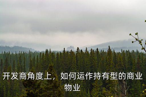 開(kāi)發(fā)商角度上，如何運(yùn)作持有型的商業(yè)物業(yè)