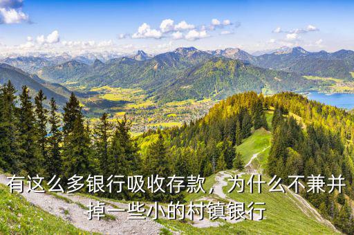 有這么多銀行吸收存款，為什么不兼并掉一些小的村鎮(zhèn)銀行