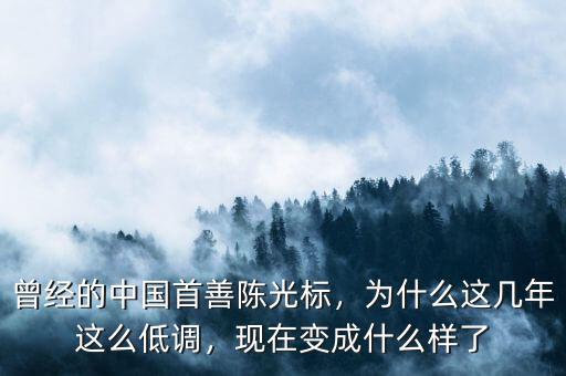 曾經(jīng)的中國首善陳光標，為什么這幾年這么低調(diào)，現(xiàn)在變成什么樣了
