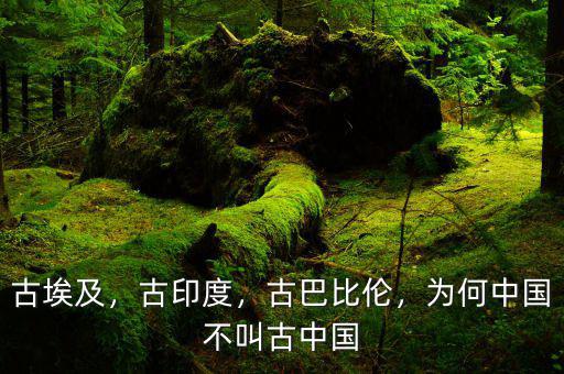 古埃及，古印度，古巴比倫，為何中國不叫古中國