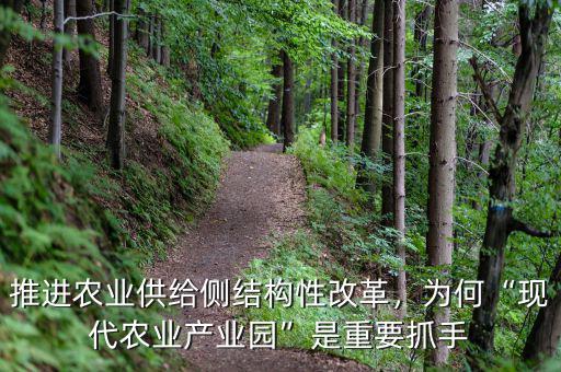 推進農(nóng)業(yè)供給側(cè)結(jié)構(gòu)性改革，為何“現(xiàn)代農(nóng)業(yè)產(chǎn)業(yè)園”是重要抓手
