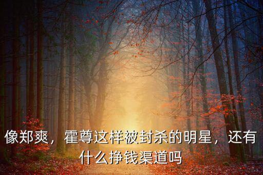 像鄭爽，霍尊這樣被封殺的明星，還有什么掙錢渠道嗎