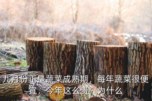 九月份正是蔬菜成熟期，每年蔬菜很便宜，今年這么貴，為什么