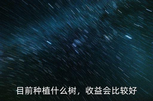 目前種植什么樹，收益會比較好