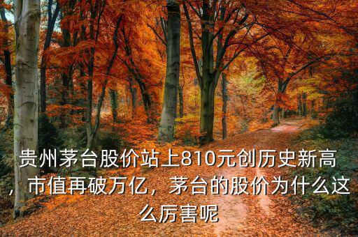 貴州茅臺(tái)股價(jià)站上810元?jiǎng)?chuàng)歷史新高，市值再破萬億，茅臺(tái)的股價(jià)為什么這么厲害呢