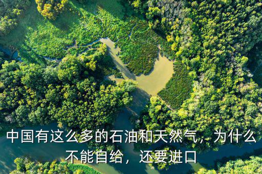 中國有這么多的石油和天然氣，為什么不能自給，還要進口