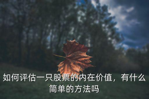 如何評估一只股票的內(nèi)在價(jià)值，有什么簡單的方法嗎