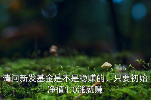 請(qǐng)問新發(fā)基金是不是穩(wěn)賺的，只要初始凈值1.0漲就賺