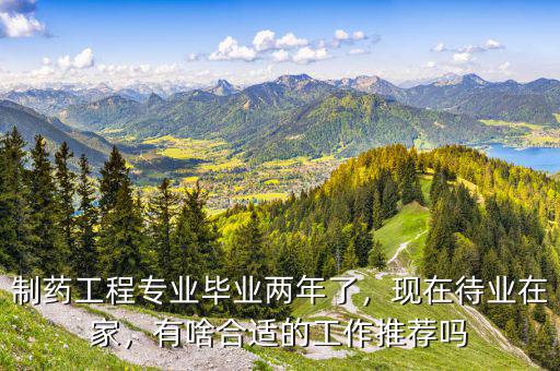 制藥工程專業(yè)畢業(yè)兩年了，現(xiàn)在待業(yè)在家，有啥合適的工作推薦嗎