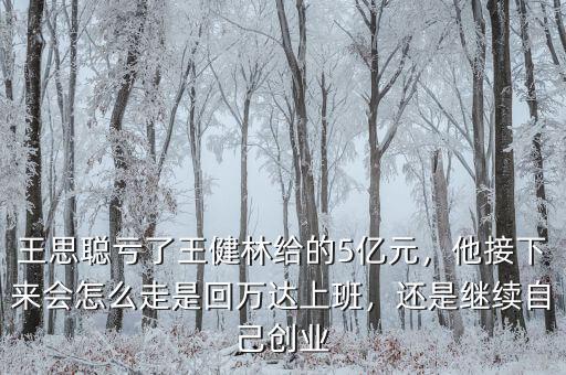 王思聰虧了王健林給的5億元，他接下來會怎么走是回萬達上班，還是繼續(xù)自己創(chuàng)業(yè)