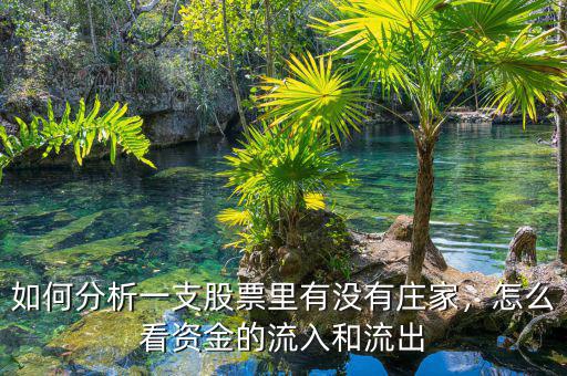 如何分析一支股票里有沒有莊家，怎么看資金的流入和流出