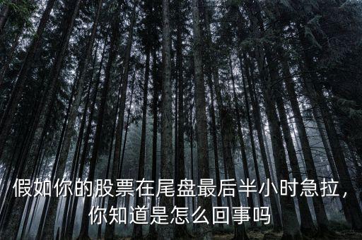 假如你的股票在尾盤最后半小時急拉，你知道是怎么回事嗎