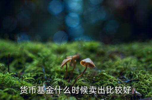 貨幣基金什么時(shí)候賣(mài)出比較好