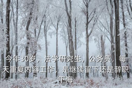 今年30歲，法學(xué)研究生，公務(wù)員，每天重復(fù)內(nèi)容工作，是繼續(xù)留下還是辭職下海