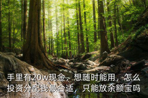 手里有20w現(xiàn)金，想隨時能用，怎么投資分配錢最合適，只能放余額寶嗎