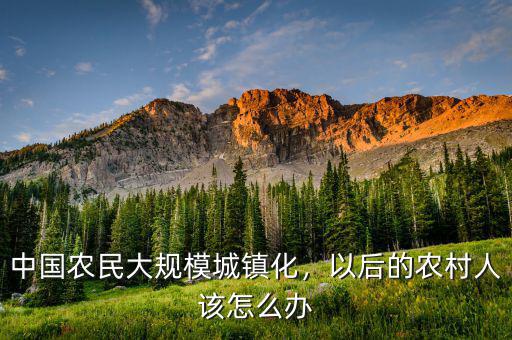 中國農(nóng)民大規(guī)模城鎮(zhèn)化，以后的農(nóng)村人該怎么辦