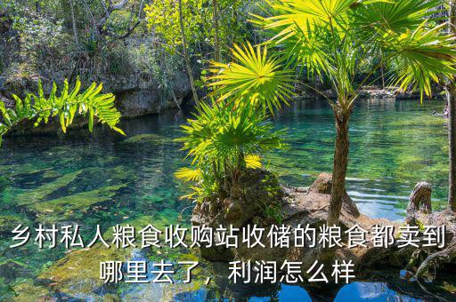 鄉(xiāng)村私人糧食收購站收儲的糧食都賣到哪里去了，利潤怎么樣