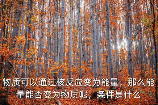 物質(zhì)可以通過(guò)核反應(yīng)變?yōu)槟芰浚敲茨芰磕芊褡優(yōu)槲镔|(zhì)呢，條件是什么