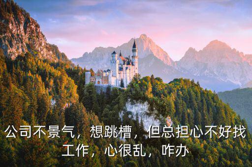 公司不景氣，想跳槽，但總擔(dān)心不好找工作，心很亂，咋辦