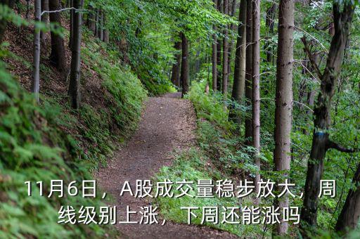 11月6日，A股成交量穩(wěn)步放大，周線級別上漲，下周還能漲嗎