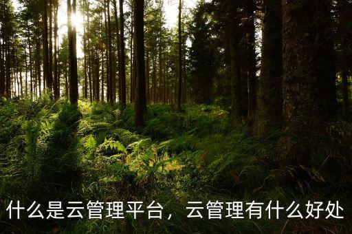 什么是云管理平臺，云管理有什么好處