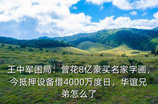 王中軍困局：曾花8億豪買名家字畫，今抵押設(shè)備借4000萬度日，華誼兄弟怎么了