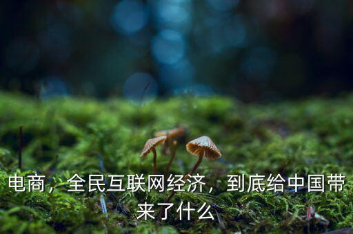 電商，全民互聯(lián)網(wǎng)經(jīng)濟(jì)，到底給中國帶來了什么