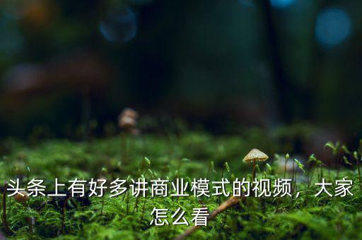 頭條上有好多講商業(yè)模式的視頻，大家怎么看