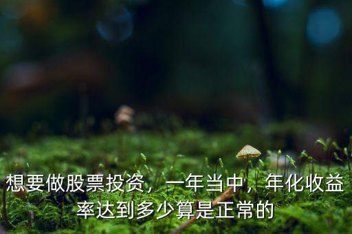 想要做股票投資，一年當(dāng)中，年化收益率達(dá)到多少算是正常的