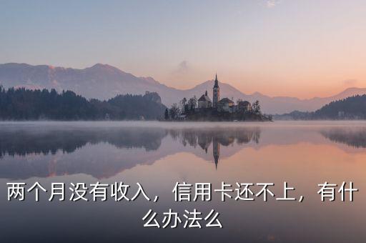 兩個月沒有收入，信用卡還不上，有什么辦法么