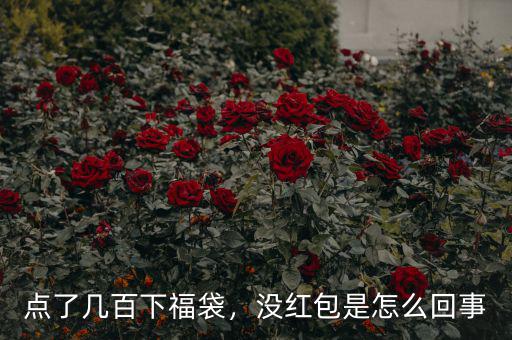 點了幾百下福袋，沒紅包是怎么回事