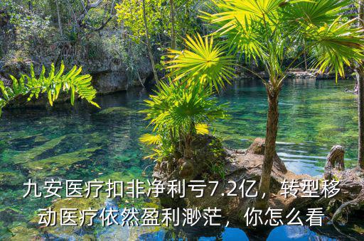 九安醫(yī)療扣非凈利虧7.2億，轉(zhuǎn)型移動(dòng)醫(yī)療依然盈利渺茫，你怎么看