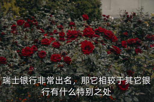瑞士銀行非常出名，那它相較于其它銀行有什么特別之處