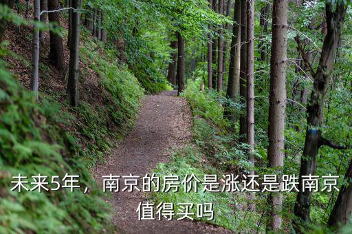 未來5年，南京的房價(jià)是漲還是跌南京值得買嗎