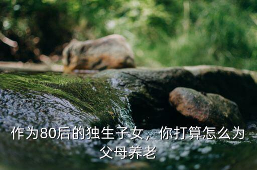 作為80后的獨生子女，你打算怎么為父母養(yǎng)老