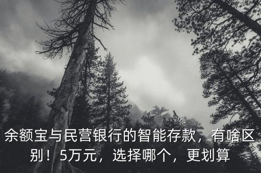 余額寶與民營銀行的智能存款，有啥區(qū)別！5萬元，選擇哪個，更劃算