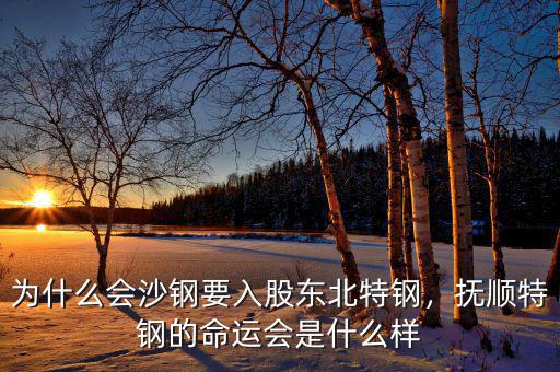 為什么會沙鋼要入股東北特鋼，撫順特鋼的命運會是什么樣