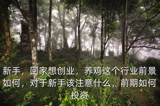 新手，回家想創(chuàng)業(yè)，養(yǎng)雞這個行業(yè)前景如何，對于新手該注意什么，前期如何投資